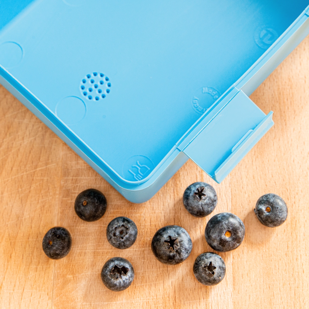 Tokyo Devil Brotdose Kids Lunchbox | BPA-frei - Saphirblau