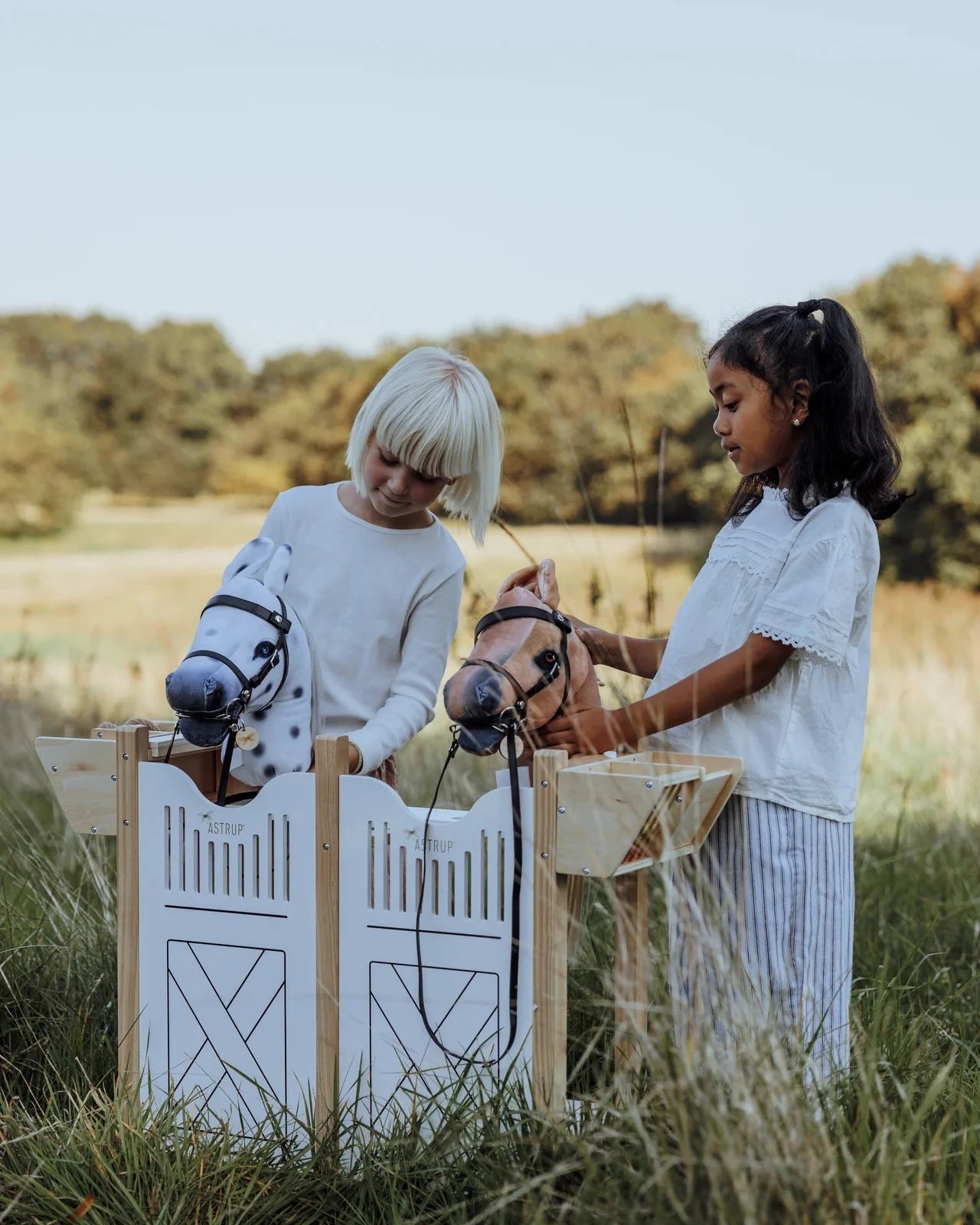 Steckenpferd und Hobby Horses