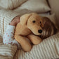 Plüschhund Labrador by Astrup