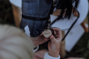 Blaze Steckenpferd | by ASTRUP