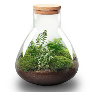 Terrarium-Bausatz – Sam XL – Flaschengarten – ↑ 35 cm - verysuperb