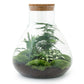 Terrarium-Bausatz – Sam XL – Flaschengarten – ↑ 35 cm - verysuperb