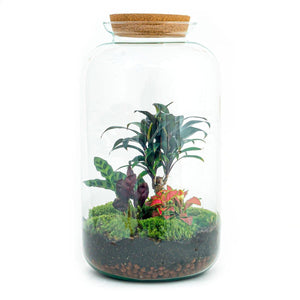 Terrarium-Bausatz – Sven Palm – Flaschengarten – ↑ 43 cm - verysuperb